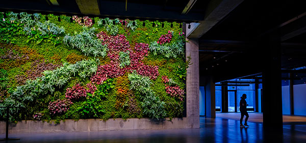 Meet and Greet at Gróska